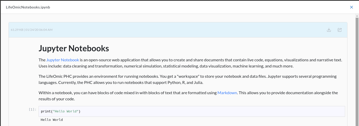 Notebooks Inline